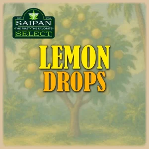 Lemon Drops cannabis strain premium Sativa buds close-up